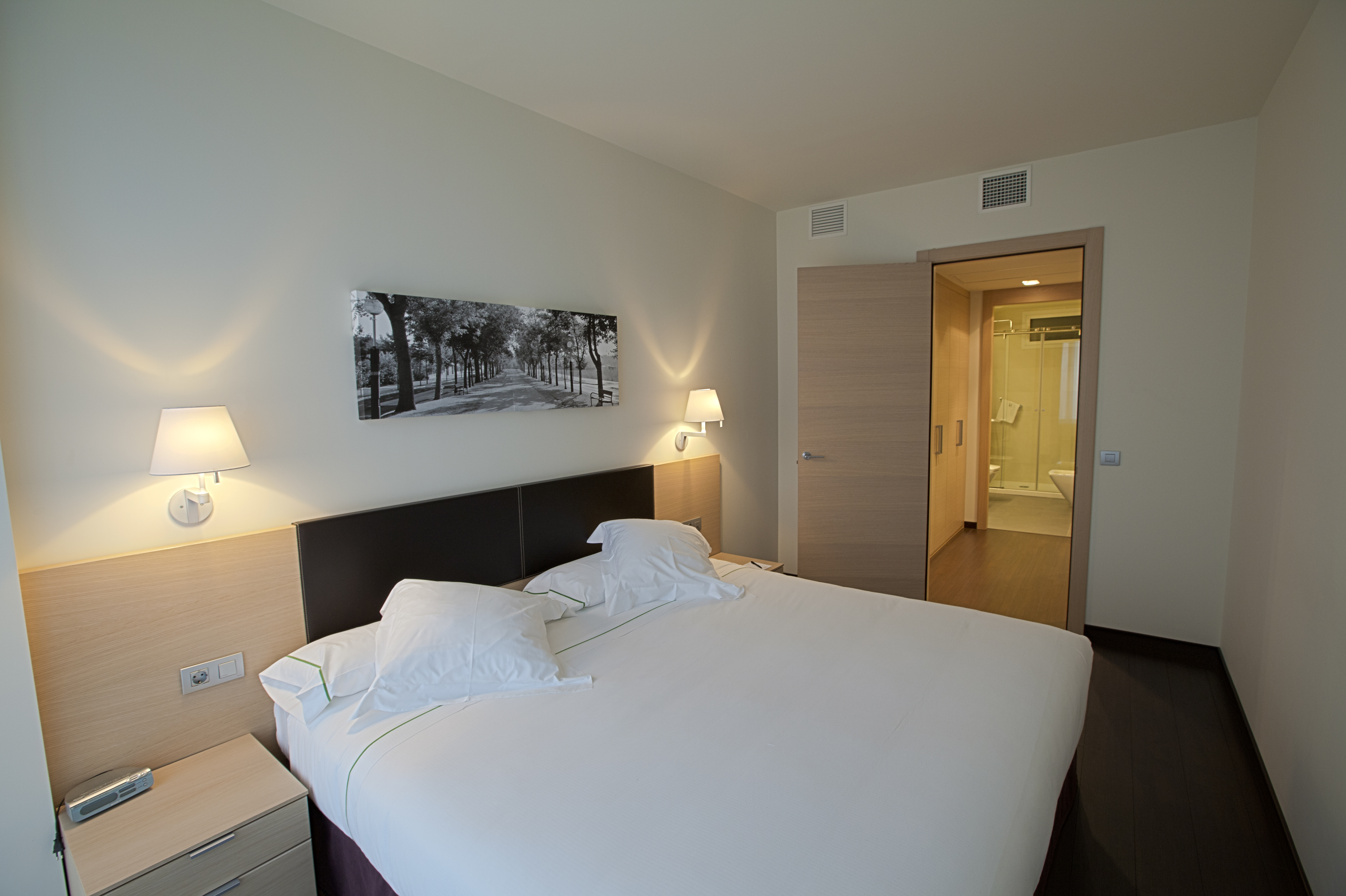 Sercotel Jardines de Uleta - Classic Double Room