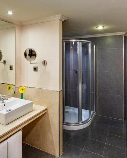 Sercotel Gran Hotel Zurbarán
