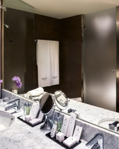 Sercotel Ámister Art-Classic Double Room