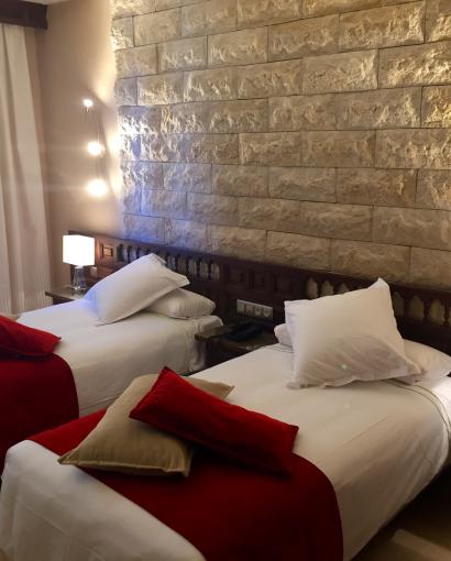 Sercotel Alfonso VI Classic Twin Room