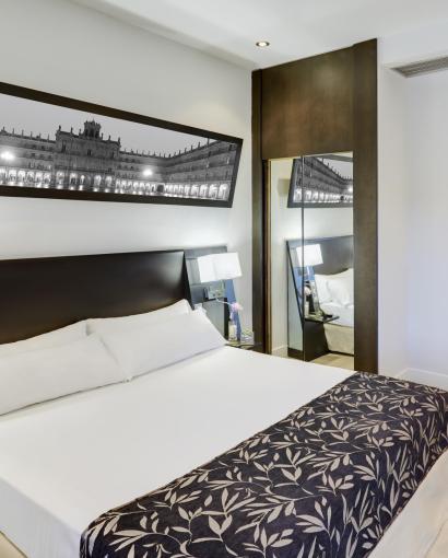 Sercotel Las Torres Salamanca Classic Twin with a View