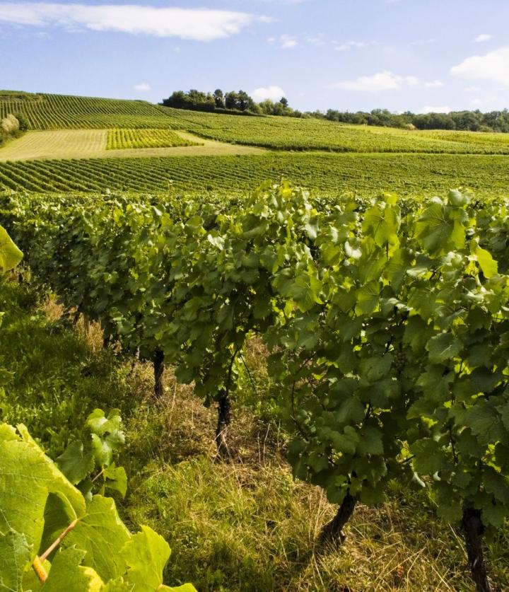 La Rioja